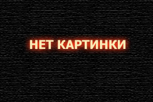 Я — медведь (фильм 2024)